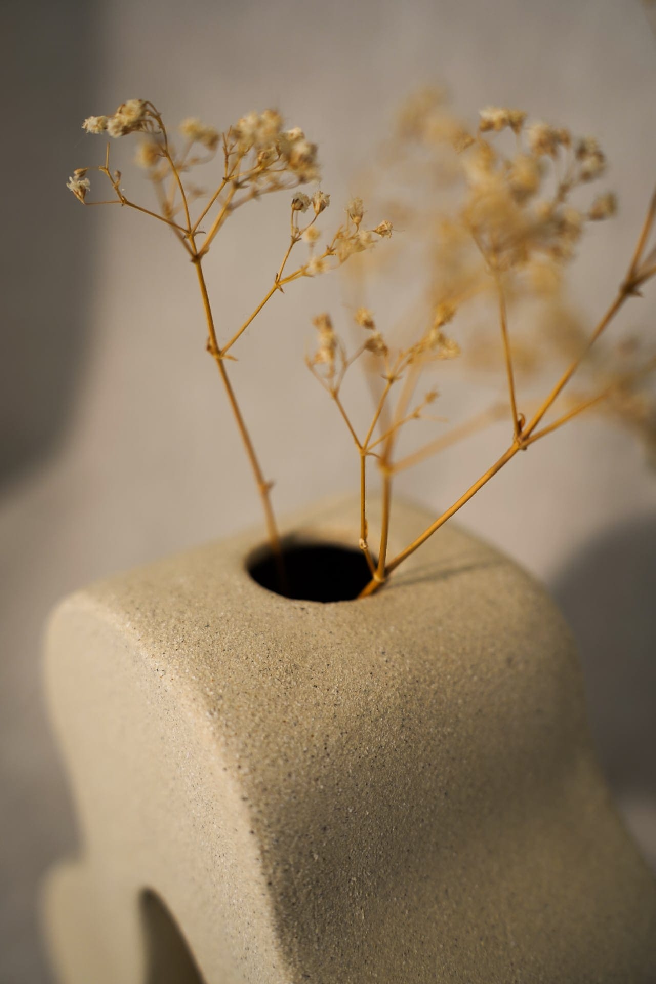 Vase Curvae