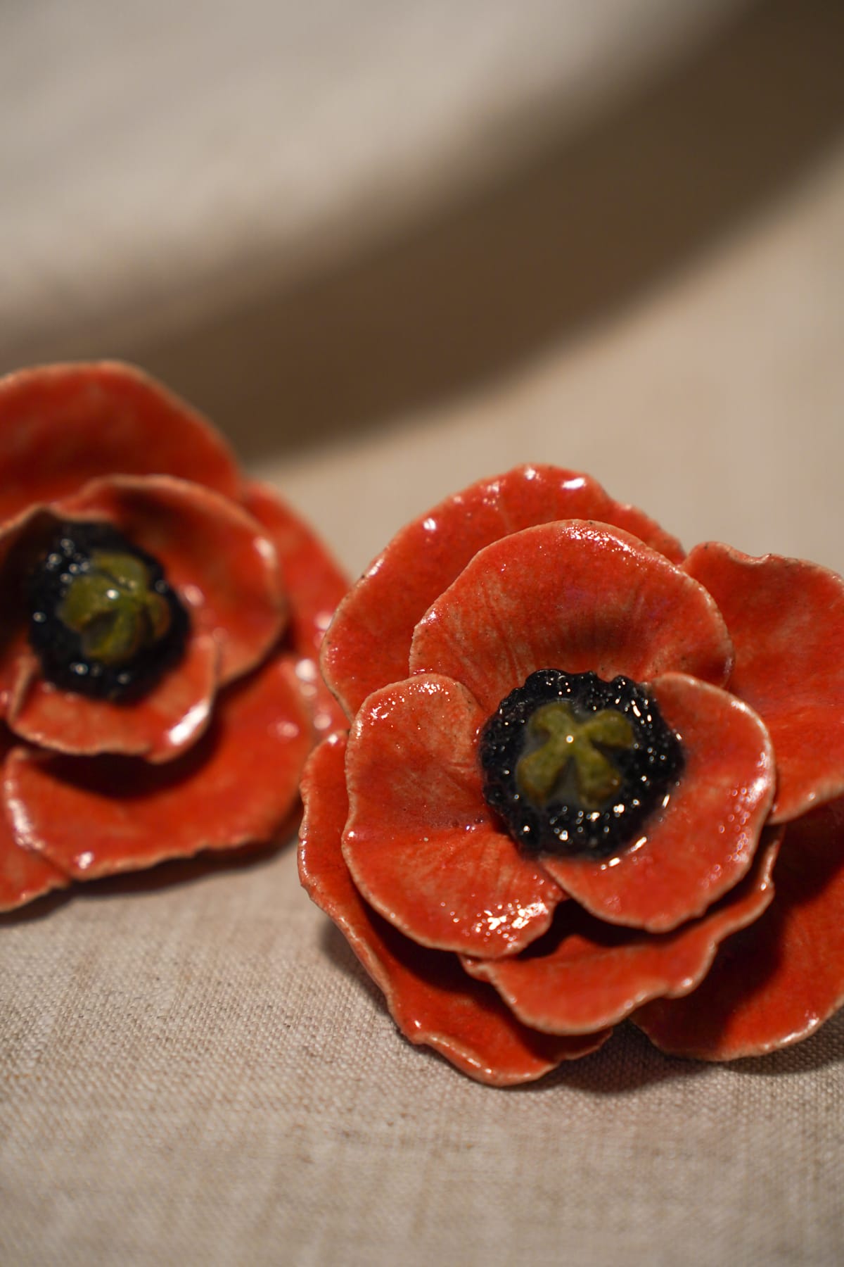Duo de boutons de meuble